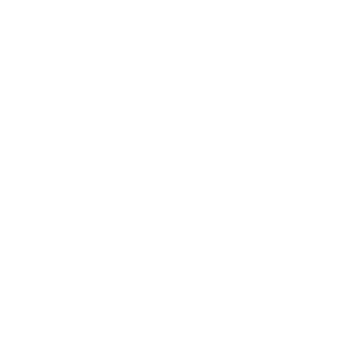 Jan Vasil